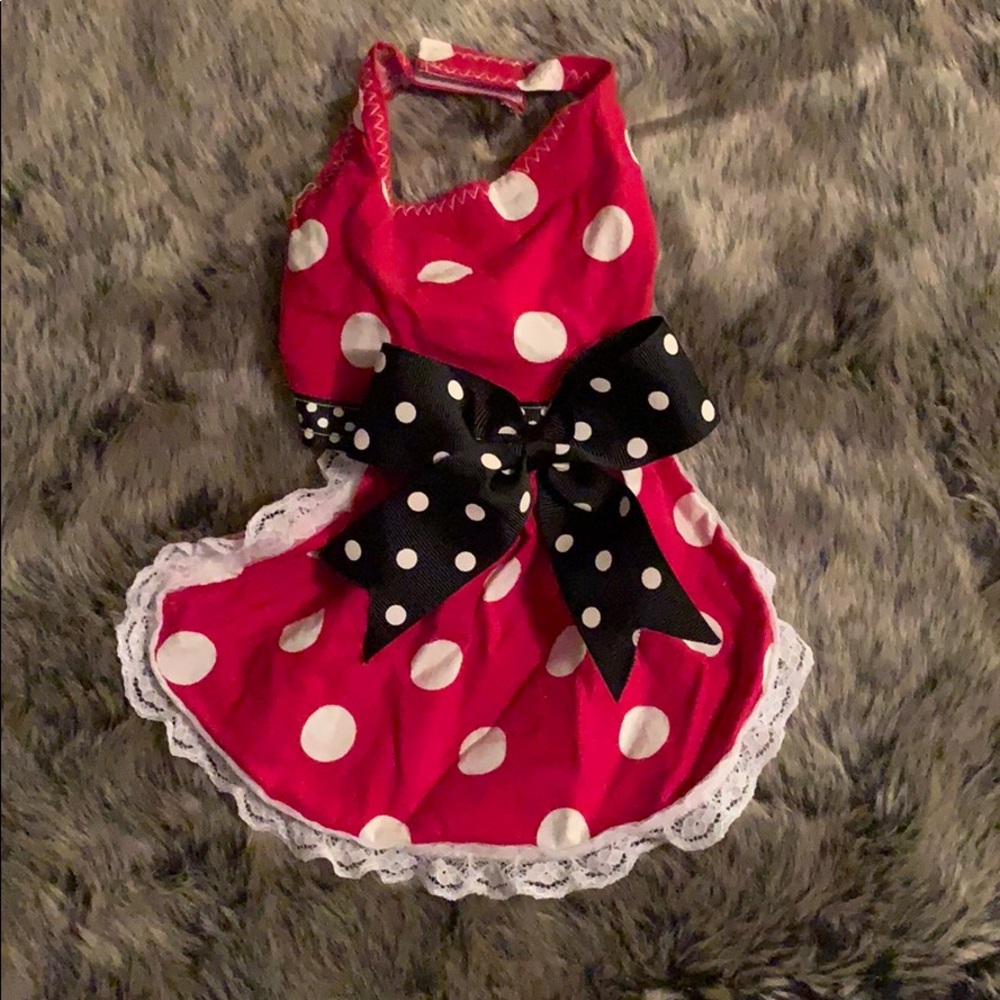 Pet dress